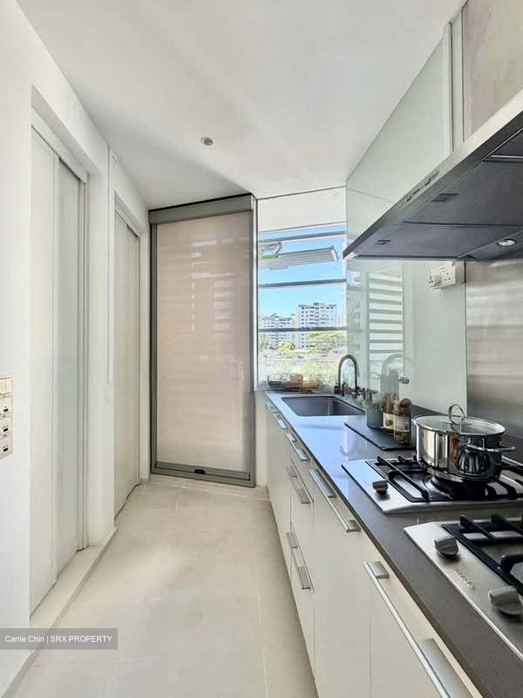Cliveden At Grange (D10), Condominium #580197491